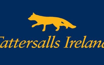 Tattersalls Ireland – Overdose Díj